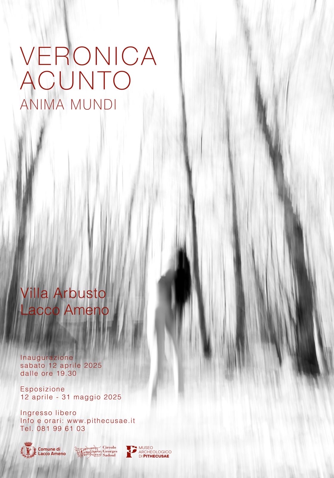 Mostra Veronica Acunto